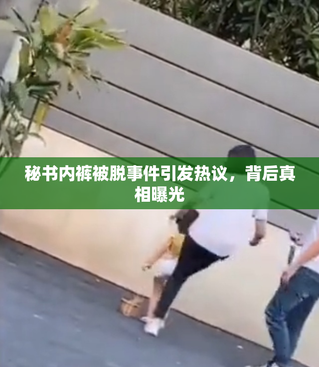 秘书内裤被脱事件引发热议，背后真相曝光
