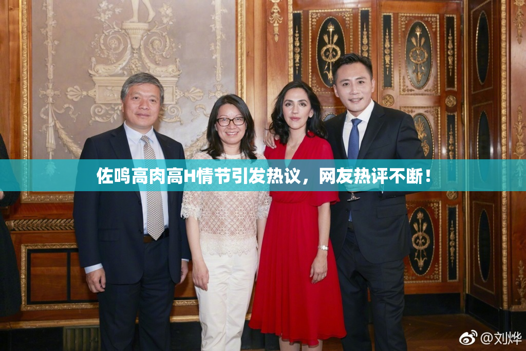 佐鸣高肉高H情节引发热议，网友热评不断！