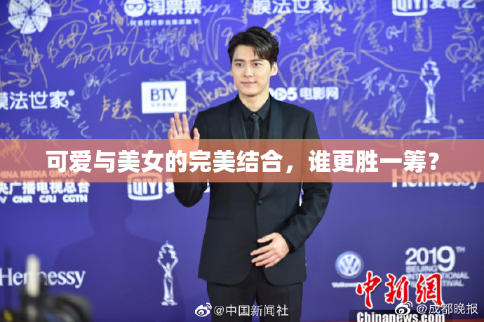 可爱与美女的完美结合，谁更胜一筹？