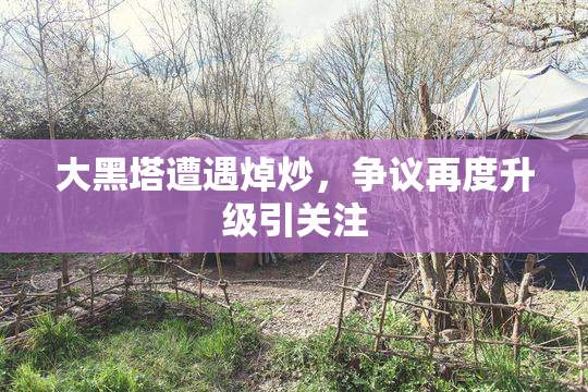 大黑塔遭遇焯炒，争议再度升级引关注