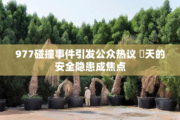 977碰撞事件引发公众热议 當天的安全隐患成焦点