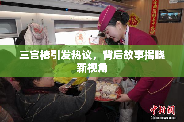 三宫椿引发热议，背后故事揭晓新视角