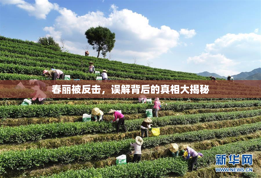 春丽被反击，误解背后的真相大揭秘
