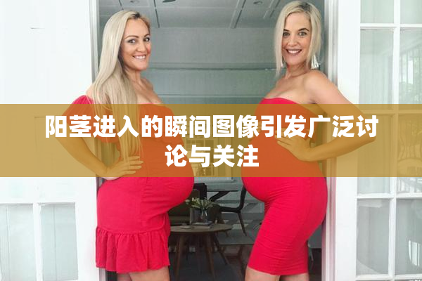 阳茎进入的瞬间图像引发广泛讨论与关注