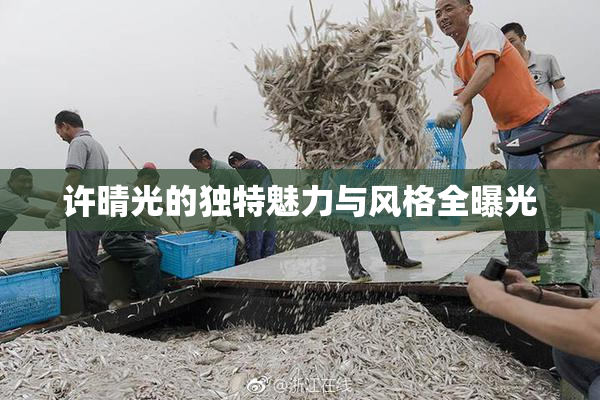 许晴光的独特魅力与风格全曝光