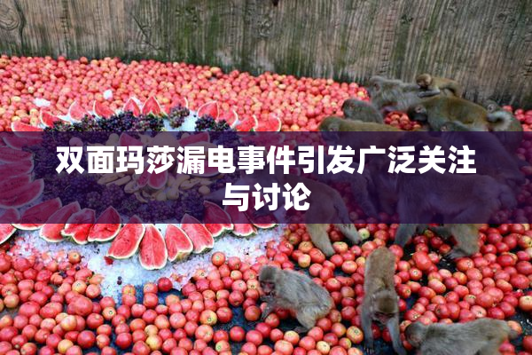 双面玛莎漏电事件引发广泛关注与讨论