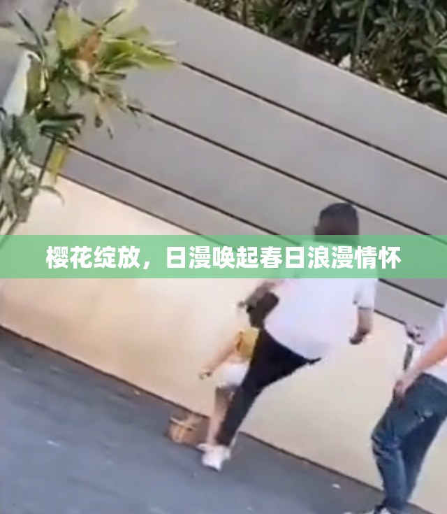 樱花绽放，日漫唤起春日浪漫情怀