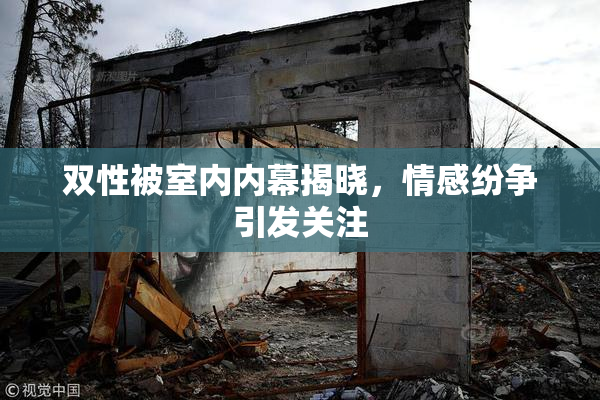 双性被室内内幕揭晓，情感纷争引发关注