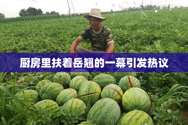 厨房里扶着岳翘的一幕引发热议