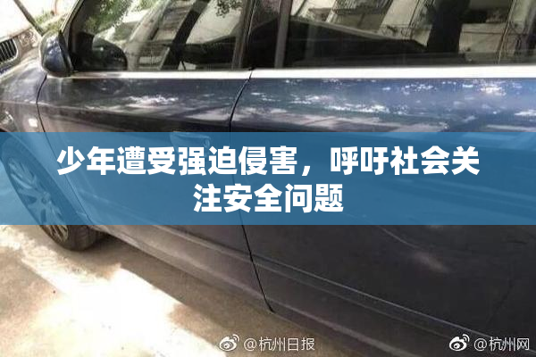 少年遭受强迫侵害，呼吁社会关注安全问题