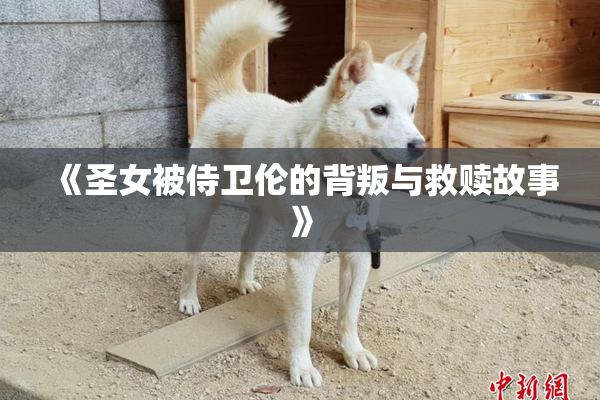 《圣女被侍卫伦的背叛与救赎故事》