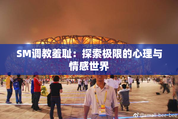 SM调教羞耻：探索极限的心理与情感世界