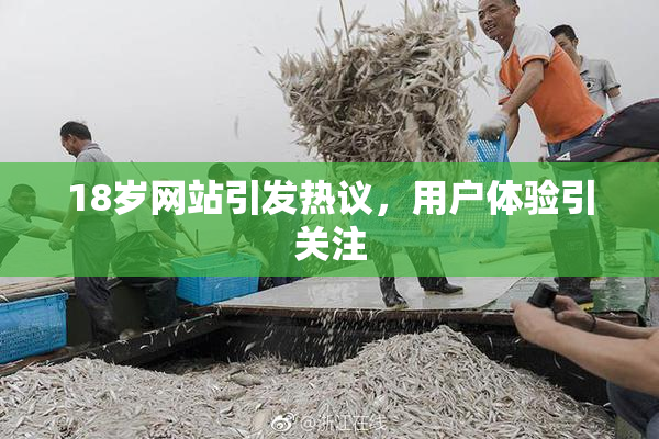 18岁网站引发热议，用户体验引关注