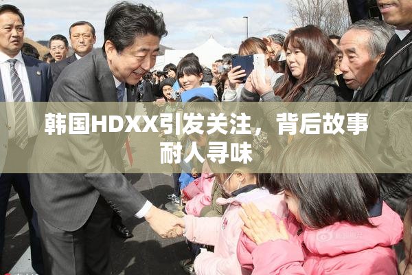 韩国HDXX引发关注，背后故事耐人寻味