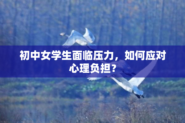 初中女学生面临压力，如何应对心理负担？
