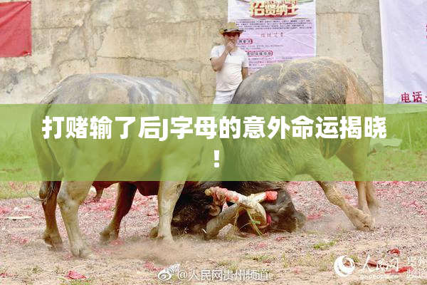 打赌输了后J字母的意外命运揭晓！