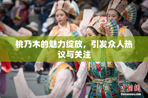 桃乃木的魅力绽放，引发众人热议与关注