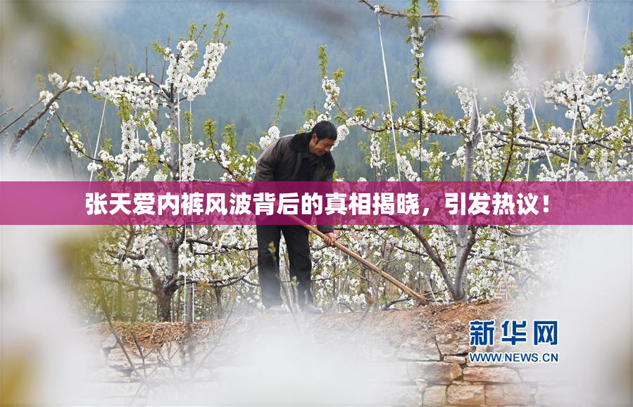 张天爱内裤风波背后的真相揭晓，引发热议！