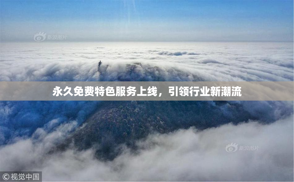 永久免费特色服务上线，引领行业新潮流