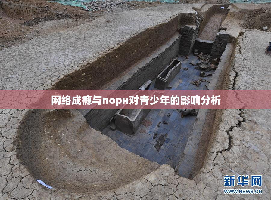 网络成瘾与порн对青少年的影响分析