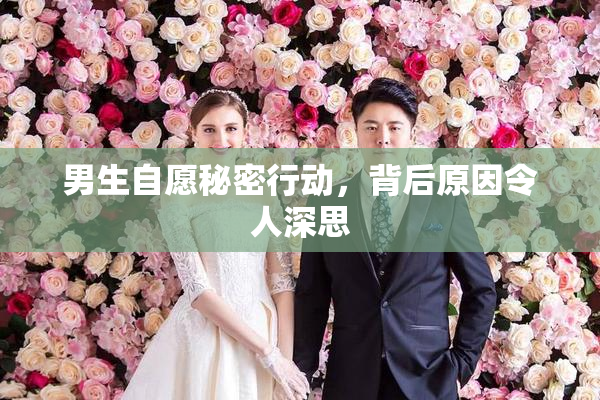 男生自愿秘密行动，背后原因令人深思