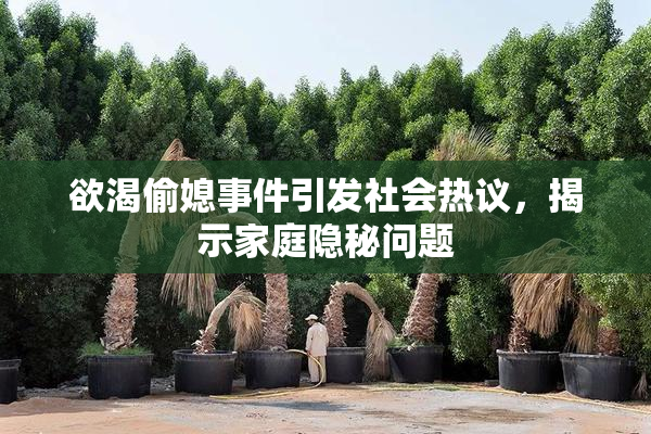 欲渴偷媳事件引发社会热议，揭示家庭隐秘问题