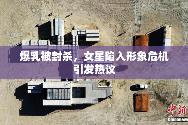 爆乳被封杀，女星陷入形象危机引发热议