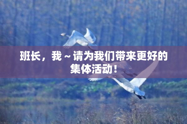 班长，我～请为我们带来更好的集体活动！