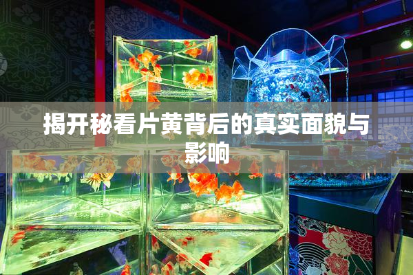 揭开秘看片黄背后的真实面貌与影响
