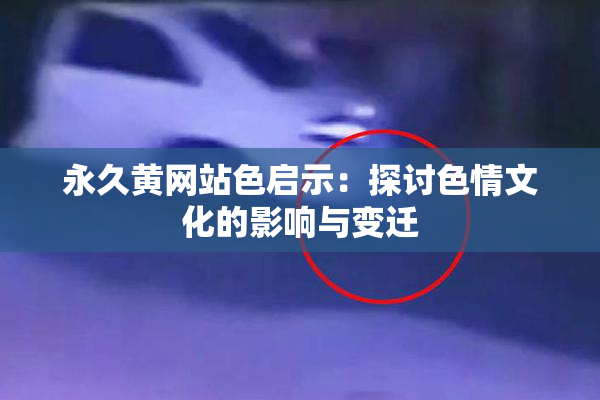 永久黄网站色启示：探讨色情文化的影响与变迁