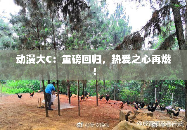 动漫大C：重磅回归，热爱之心再燃！