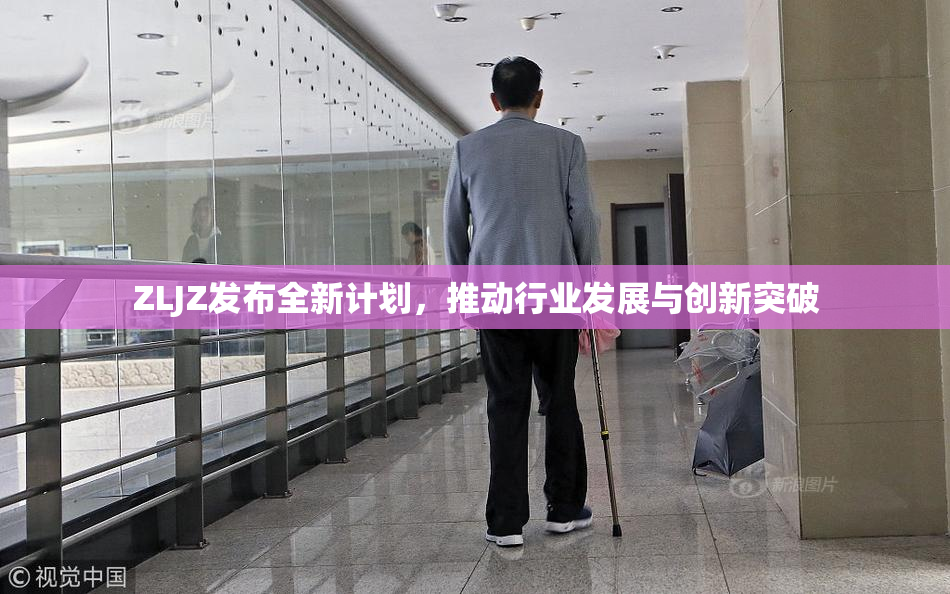 ZLJZ发布全新计划，推动行业发展与创新突破