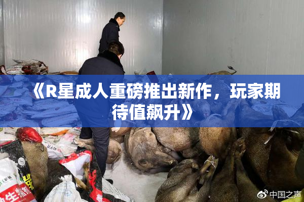 《R星成人重磅推出新作，玩家期待值飙升》