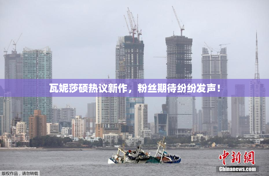 瓦妮莎硕热议新作，粉丝期待纷纷发声！