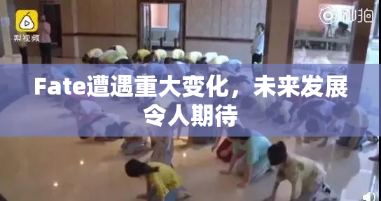 Fate遭遇重大变化，未来发展令人期待