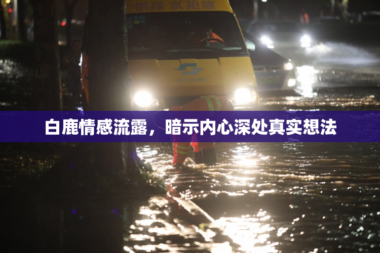 白鹿情感流露，暗示内心深处真实想法