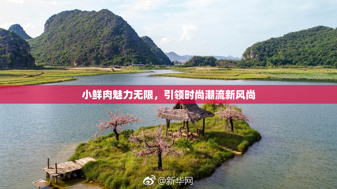 小鲜肉魅力无限，引领时尚潮流新风尚