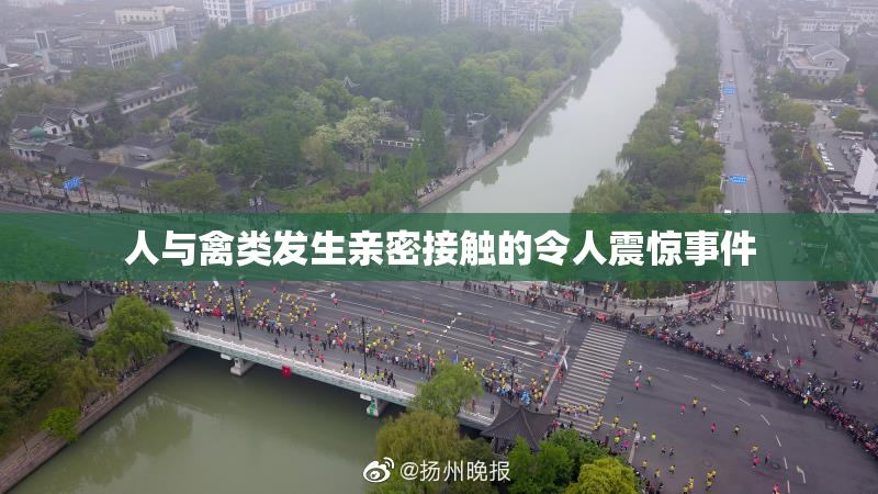 人与禽类发生亲密接触的令人震惊事件