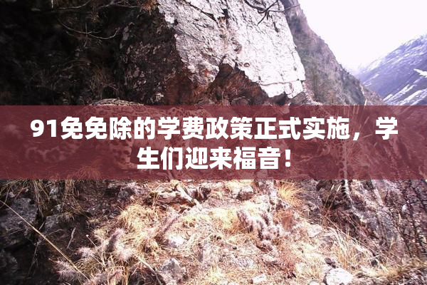 91免免除的学费政策正式实施，学生们迎来福音！