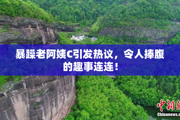 暴躁老阿姨C引发热议，令人捧腹的趣事连连！