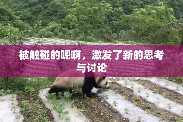 被触碰的嗯啊，激发了新的思考与讨论