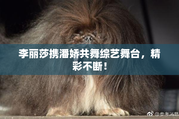 李丽莎携潘娇共舞综艺舞台，精彩不断！