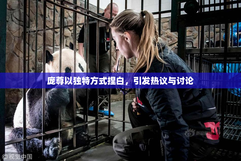 庞尊以独特方式捏白，引发热议与讨论