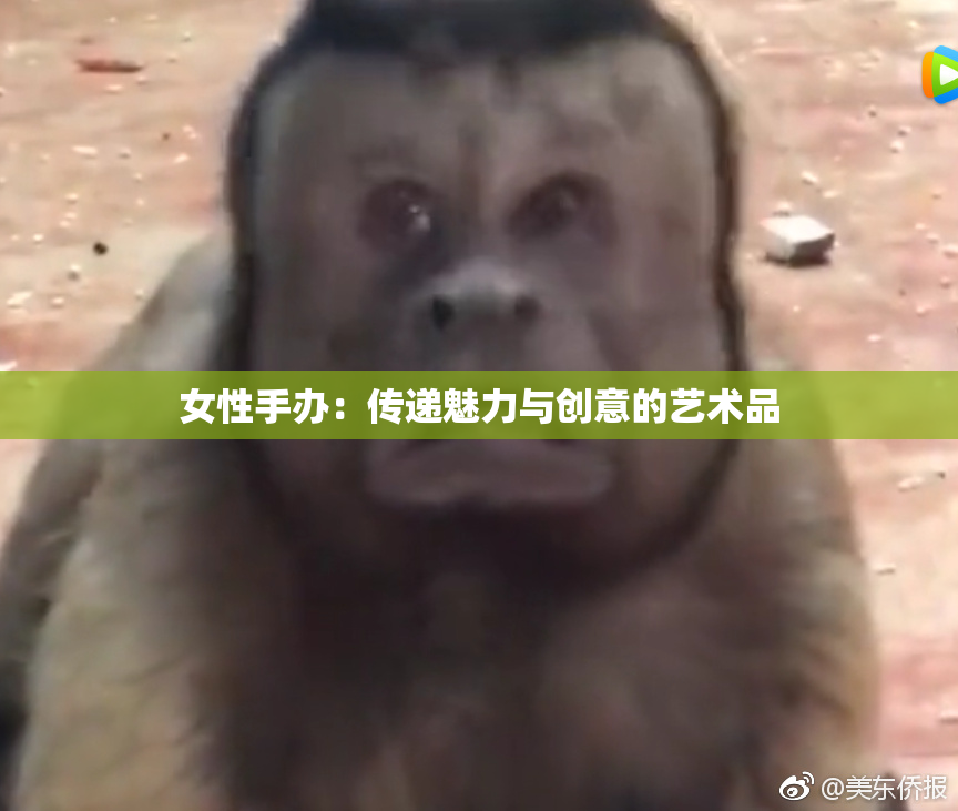 女性手办：传递魅力与创意的艺术品
