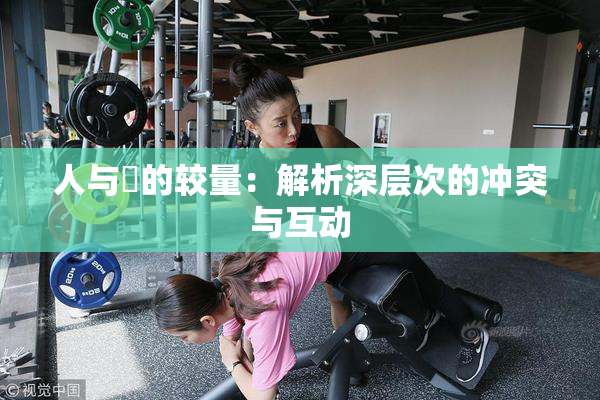 人与嘼的较量：解析深层次的冲突与互动