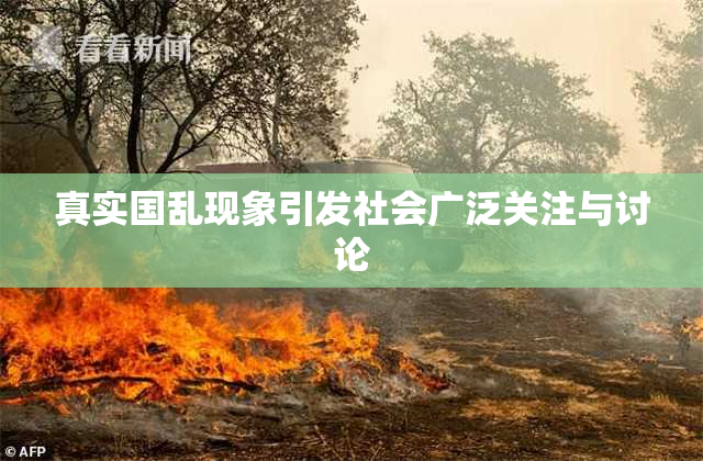 真实国乱现象引发社会广泛关注与讨论