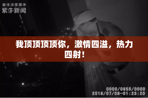 我顶顶顶顶你，激情四溢，热力四射！