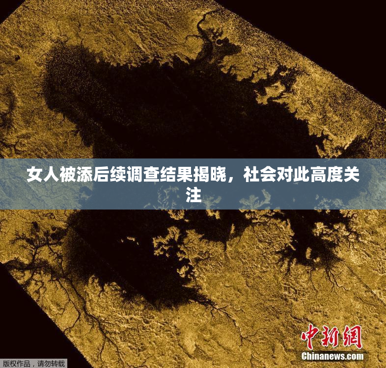 女人被添后续调查结果揭晓，社会对此高度关注