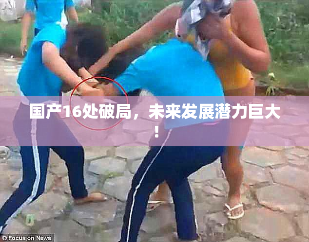 国产16处破局，未来发展潜力巨大！