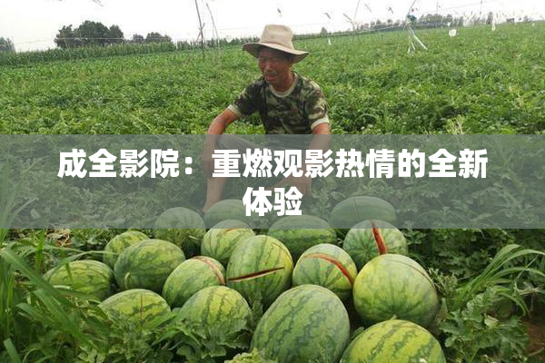 成全影院：重燃观影热情的全新体验